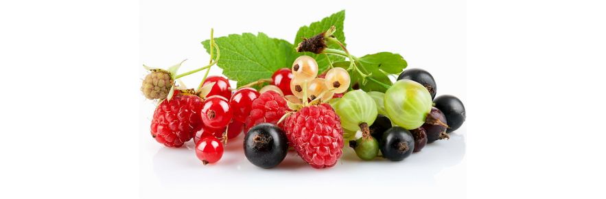 Фрукты и фруктовые смеси